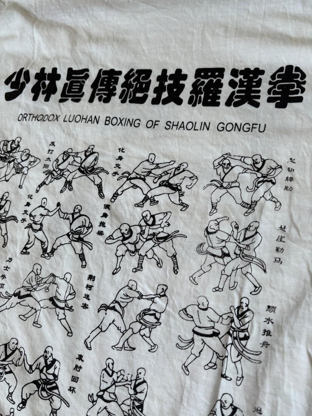 Pre-Order Shaolin Luohan Boxing T-Shirt