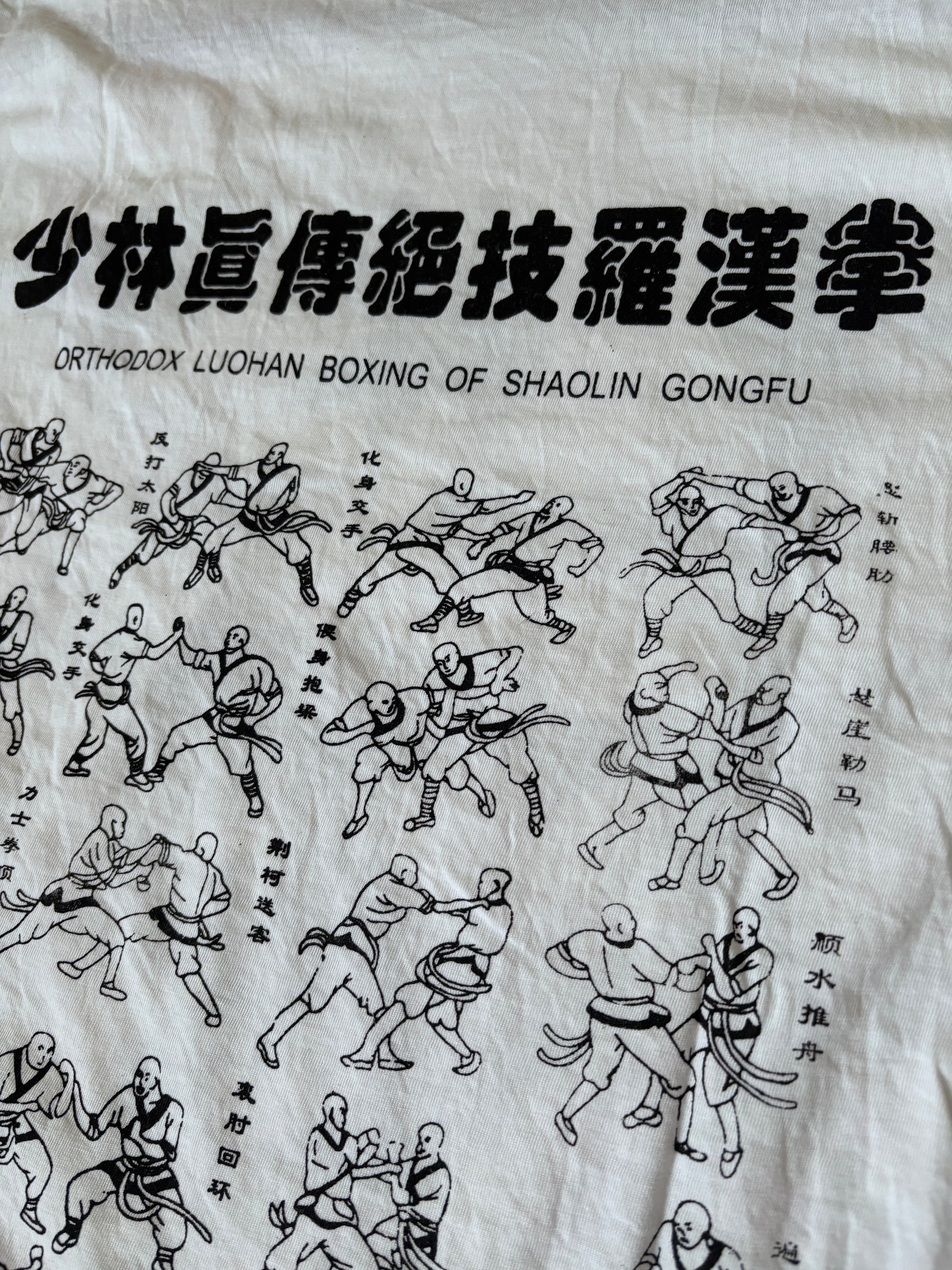 Pre-Order Shaolin Luohan Boxing T-Shirt