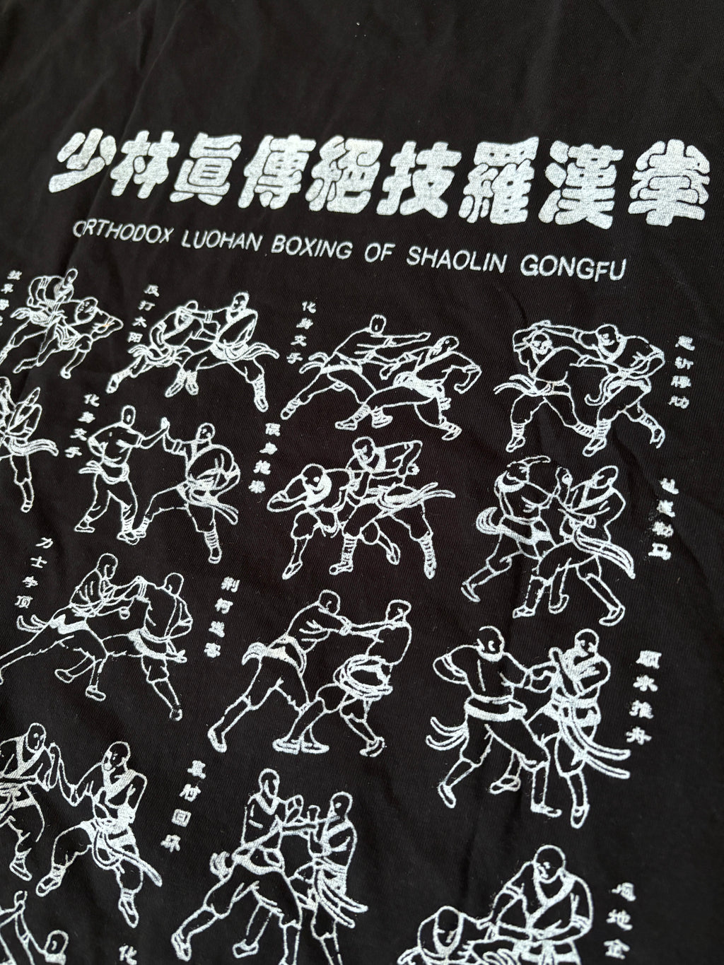 Pre-Order Shaolin Luohan Boxing T-Shirt